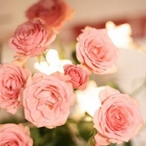 Meet your Posher, Aya